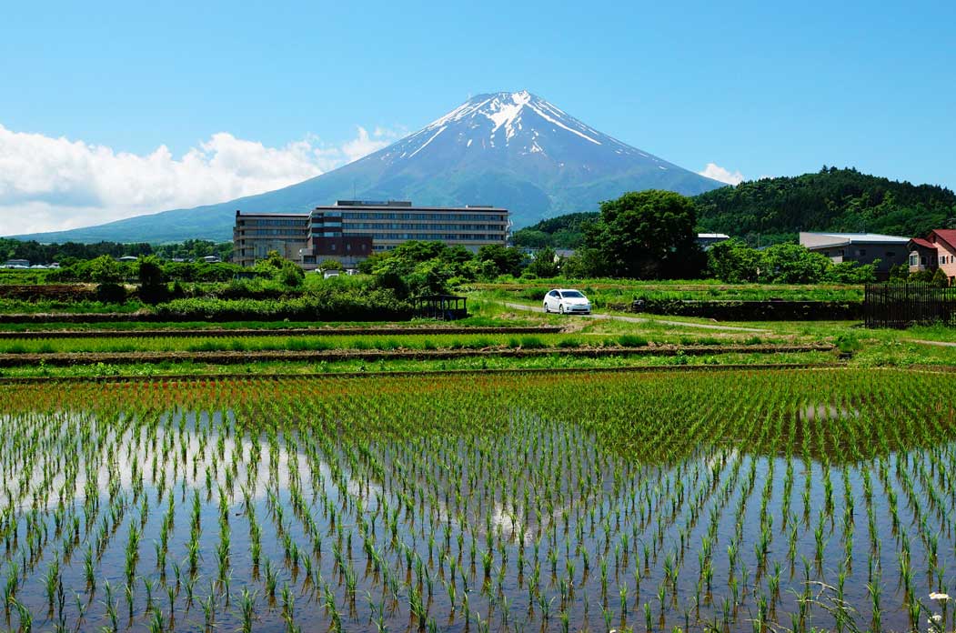 逆さ富士と田植え